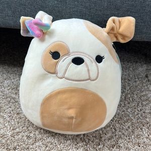Squishmallows Davitta French Bull Dog 10 in NWT